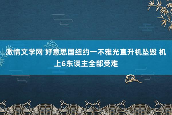激情文学网 好意思国纽约一不雅光直升机坠毁 机上6东谈主全部受难