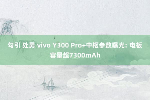 勾引 处男 vivo Y300 Pro+中枢参数曝光: 电板容量超7300mAh