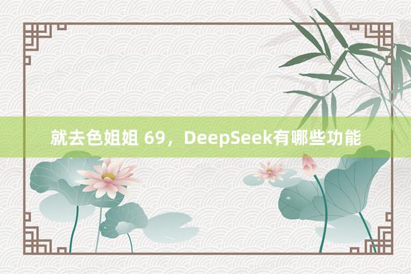 就去色姐姐 69，DeepSeek有哪些功能