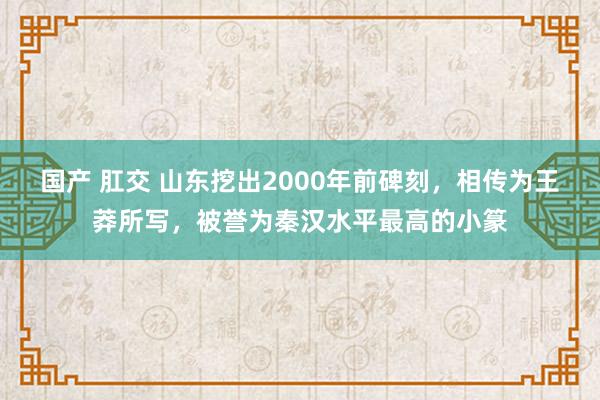 国产 肛交 山东挖出2000年前碑刻，相传为王莽所写，被誉为秦汉水平最高的小篆