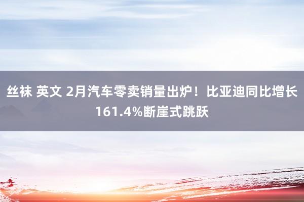 丝袜 英文 2月汽车零卖销量出炉！比亚迪同比增长161.4%断崖式跳跃