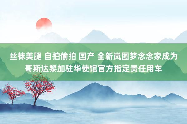 丝袜美腿 自拍偷拍 国产 全新岚图梦念念家成为哥斯达黎加驻华使馆官方指定责任用车