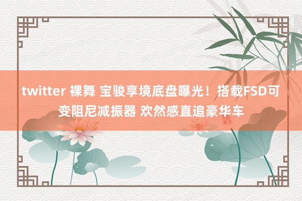 twitter 裸舞 宝骏享境底盘曝光！搭载FSD可变阻尼减振器 欢然感直追豪华车